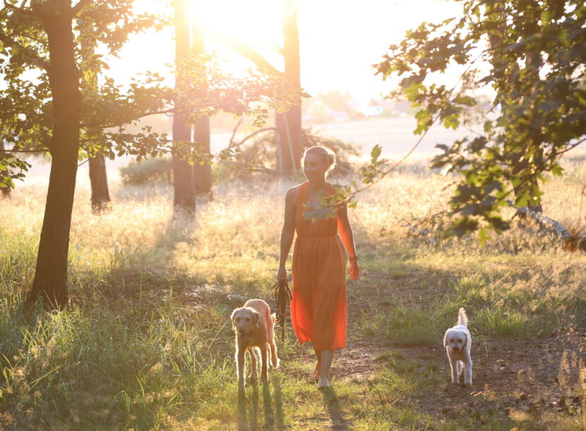 Hundetrainerin Sandra Vergien in Yogapose im lichtdurchflutetem Wald.